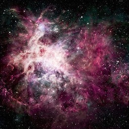 彼女がマグロなので彼女の母親と20発やった問題の映像